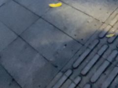 -Mevlana梅夫娜土耳其餐厅·清真