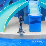 东方之珠一衣带水，永远是我们的一部分