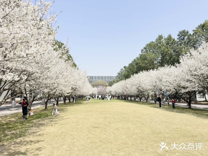 同济大学(嘉定校区)图片