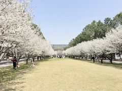 -同济大学(嘉定校区)