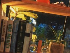 -彼芝奇比萨(红坊店)