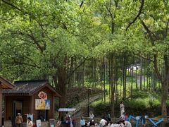-东明山森林公园