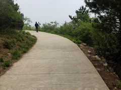 -府君山公园