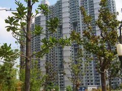 -苏州河梦清园环保主题公园