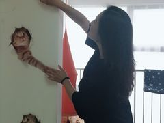 香草奥利奥-我爱猫咪·猫咖·狗咖·安哥拉兔·羊驼咖(小寨华旗店)