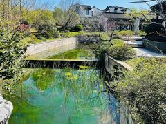 -雅达·阳羡溪山小镇中心