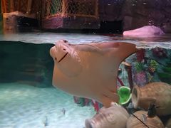 -沈阳海洋探索中心