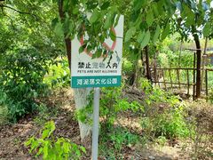 -河泥荡文化公园