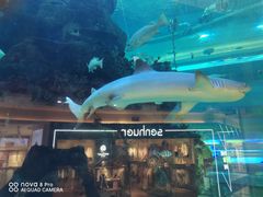 -鸿通城购物中心