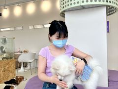 -怪兽屋·羊驼·猫咖·狗咖(俊华广场店)