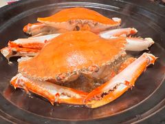 -海市焗·现焗海鲜·老广风味(上海首店)