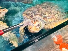 -大连圣亚海洋世界