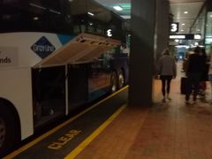 -怀托摩萤火虫洞