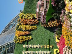 -南山植物园