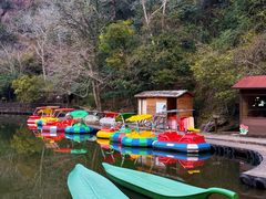 -龙湾潭国家森林公园