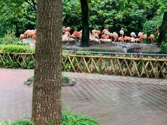 -野生动物园-停车场