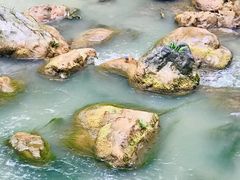 -华蓥山天意谷景区