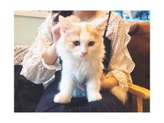 -平行世界·猫咖(首经贸店)