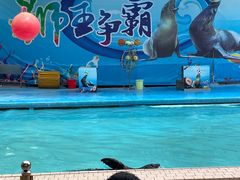 -荆州中山公园动物园