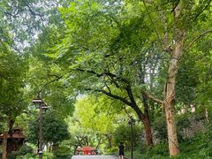 -吴山景区