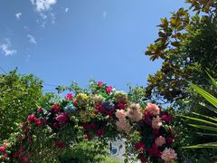 -The Grounds of Alexandria