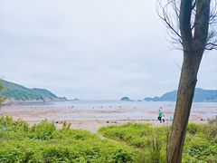 -北岐滩涂