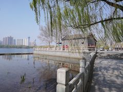 -莲花池公园