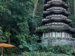 -深圳国际园林花卉博览园