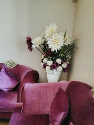 -诗芙侬女士美容SPA