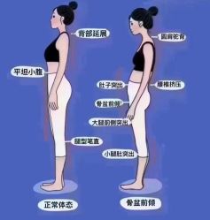 点击看大图 -奕美功能性体态调整·塑型·产后恢复(永利国际店)