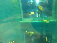 -大连圣亚海洋世界