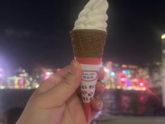 -富豪雪糕车流动点(尖沙咀店)