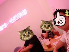 -soulfa柠檬茶(鹭江店)