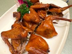 红烧乳鸽-沙龙酒家