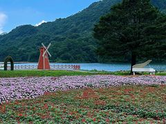 -广州市石门国家森林公园
