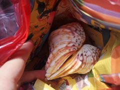 -日照灯塔风景区