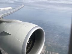 -全日本空输株式会社(上海办事处)
