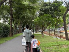 -荔湾湖公园
