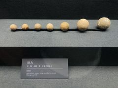 -亳州博物馆