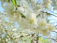 -北京安贞环宇荟