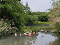 -宁波野生动物园