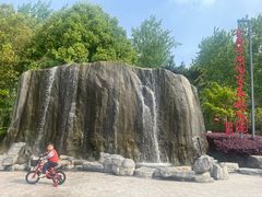 -合肥滨湖国家森林公园