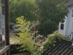 -普洱茶府(博乐广场店)