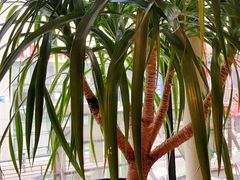 -惠友大虾(太原北街店)