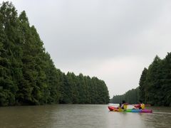 -上海海湾国家森林公园