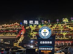 -枇杷园食为鲜火锅(南山店)