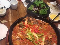 -老板恋上鱼(印象城店)