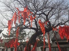 -杨家埠民间艺术大观园