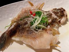 清蒸笋壳鱼-临江宴(陆家嘴店)