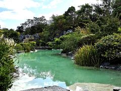 -吴淞炮台湾湿地森林公园烧烤区